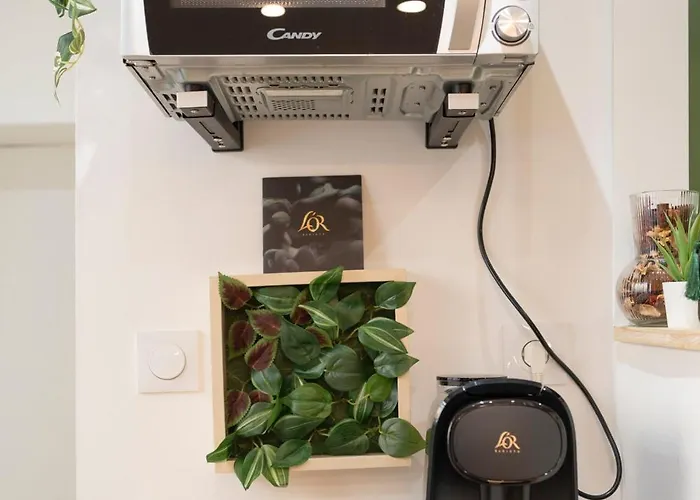 Le Cosy De Saint Epvre - - 2 Pers Appartement Nancy